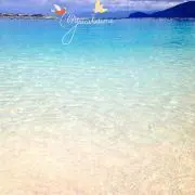 Hanaの画像