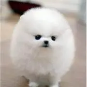 hiroの画像
