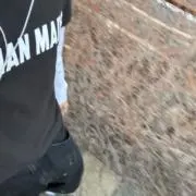 かもめの画像