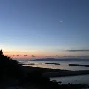 カミッチュの画像