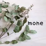 発送は6/15（月）以降〜　mone＊の画像