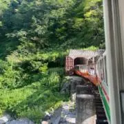 Masaの画像