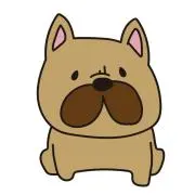 shinoの画像