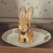 ささの画像