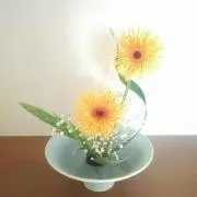心愛の画像