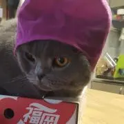 たけの画像