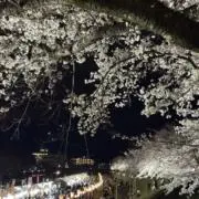 Kの画像