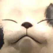ぷしゅの画像
