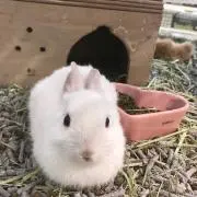 REIKOの画像