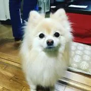つぶ　プロフ★ひとつだけでもご確認をの画像