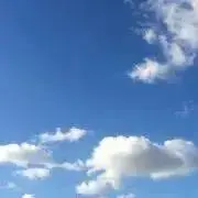 すうの画像