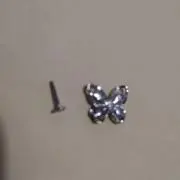 パポ