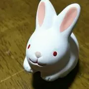 うさこの画像