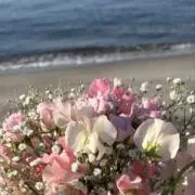 むーみんの画像
