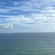 だーだの画像