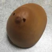 ひらめの画像