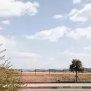 sakuranosoraの画像