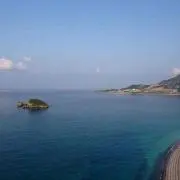YMの画像