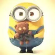 BOBの画像