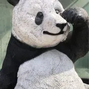 ボナセーラの画像