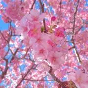 鈴木の画像