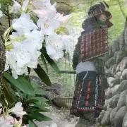 三ノ丸九十九堂  しろ