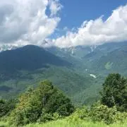 n.の画像