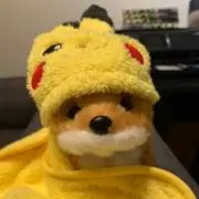 michの画像