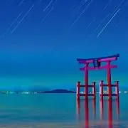 みほ