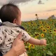 Hy プロフご確認ください。の画像