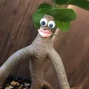 がじまあるの画像