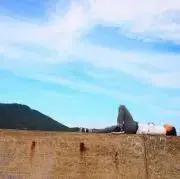 D8JTANIMの画像