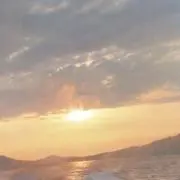 sanmmの画像