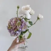 のりまきの画像