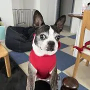ちぃ