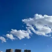 青の画像