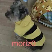 morizoの画像