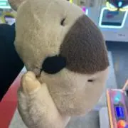 ririの画像
