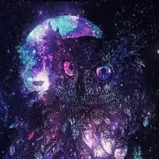 レイ  プロフィールご確認下さいの画像