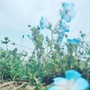 あ