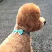 rioの画像