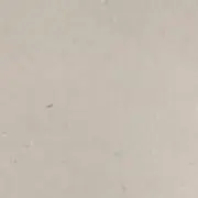 Reinaaa…