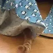 nokaの画像