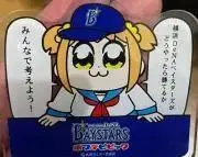 エビの画像