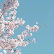 marikoの画像