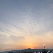 レイの画像