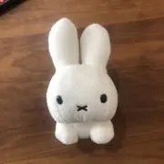 Karateaの画像