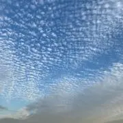 wachikoの画像