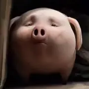 Émileの画像