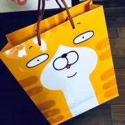 520の画像
